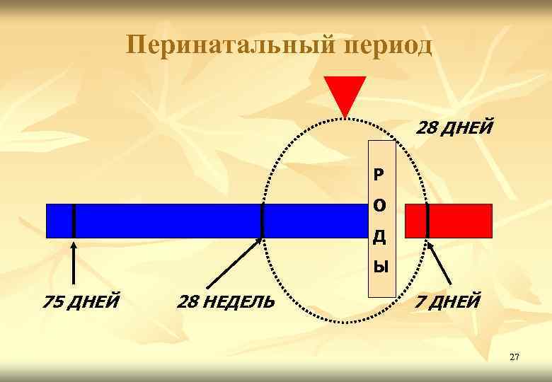 Перинатальный период 28 ДНЕЙ Р О Д Ы 75 ДНЕЙ 28 НЕДЕЛЬ 7 ДНЕЙ