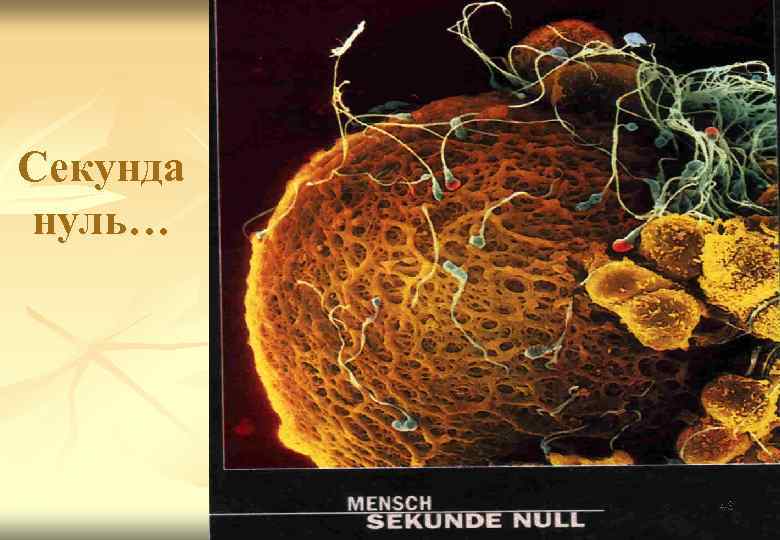 Секунда нуль… 48 