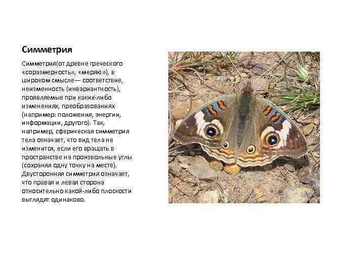 Симметрия(от древне греческого «соразмерность» , «меряю» ), в широком смысле— соответствие, неизменность (инвариантность), проявляемые