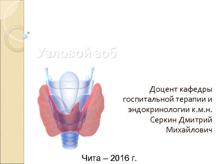 Узловой зоб Доцент кафедры госпитальной терапии и эндокринологии к. м. н. Серкин Дмитрий Михайлович