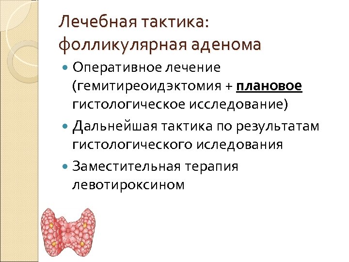 Лечебная тактика: фолликулярная аденома Оперативное лечение (гемитиреоидэктомия + плановое гистологическое исследование) Дальнейшая тактика по