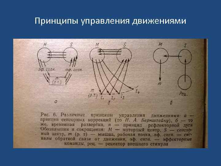 Принципы управления движениями 