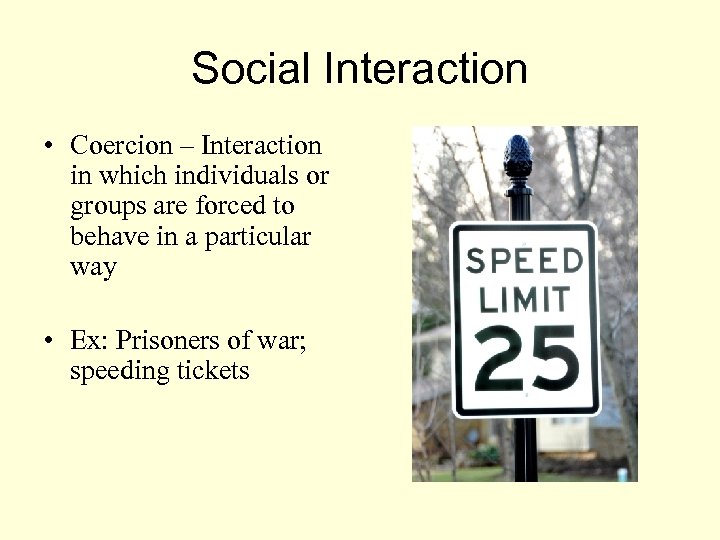 Social Interaction • Coercion – Interaction in which individuals or groups are forced to