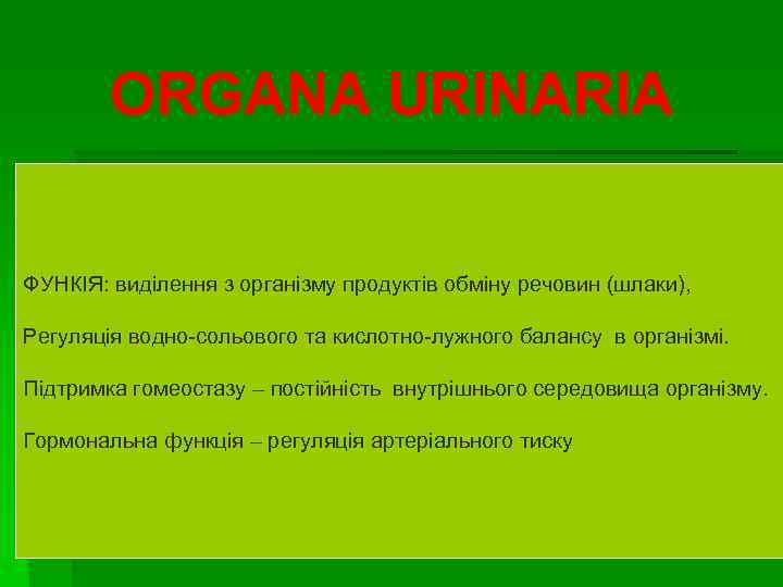 ORGANA URINARIA ФУНКІЯ: виділення з організму продуктів обміну речовин (шлаки), Регуляція водно-сольового та кислотно-лужного
