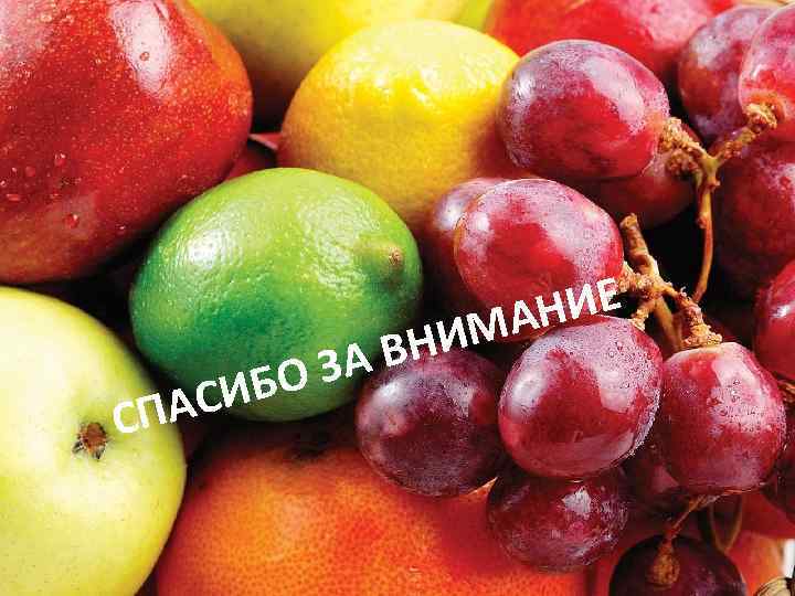 ИЕ АН С ИБО ПАС НИМ ЗА В 