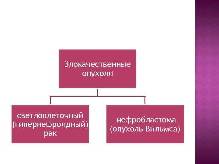 Злокачественные опухоли светлоклеточный (гипернефроидный) рак нефробластома (опухоль Вильмса) 