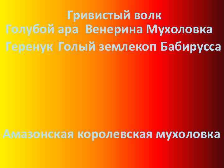 Гривистый волк Голубой ара Венерина Мухоловка Геренук Голый землекоп Бабирусса Амазонская королевская мухоловка 