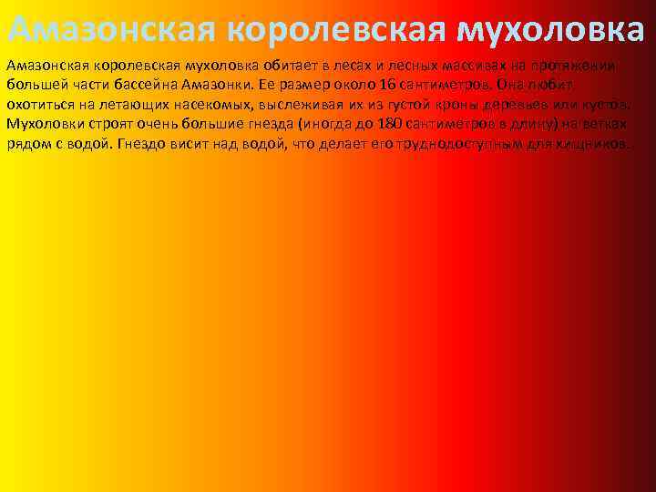 Амазонская королевская мухоловка обитает в лесах и лесных массивах на протяжении большей части бассейна