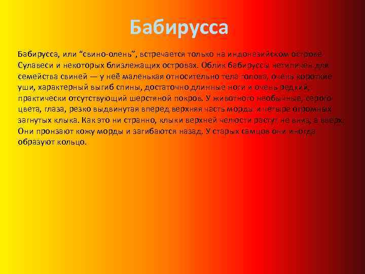Бабирусса, или “свино-олень”, встречается только на индонезийском острове Сулавеси и некоторых близлежащих островах. Облик