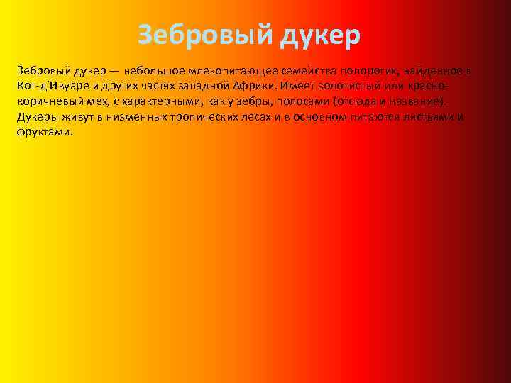 Зебровый дукер — небольшое млекопитающее семейства полорогих, найденное в Кот-д’Ивуаре и других частях западной