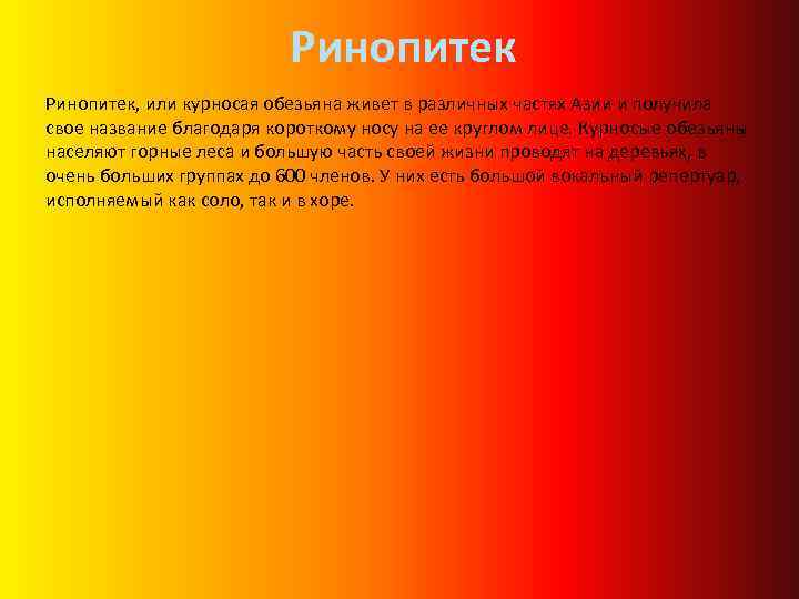 Ринопитек, или курносая обезьяна живет в различных частях Азии и получила свое название благодаря