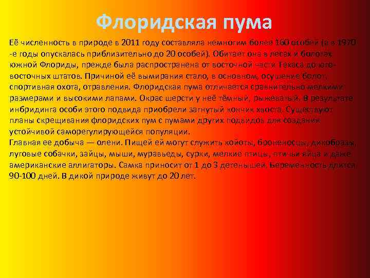 Флоридская пума Её численность в природе в 2011 году составляла немногим более 160 особей