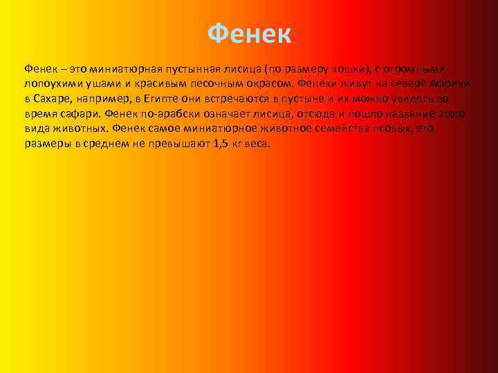 Фенек – это миниатюрная пустынная лисица (по размеру кошки), с огромными лопоухими ушами и