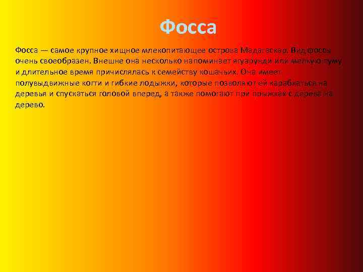 Фосса — самое крупное хищное млекопитающее острова Мадагаскар. Вид фоссы очень своеобразен. Внешне она