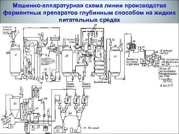 Машинно аппаратурная схема производства кваса