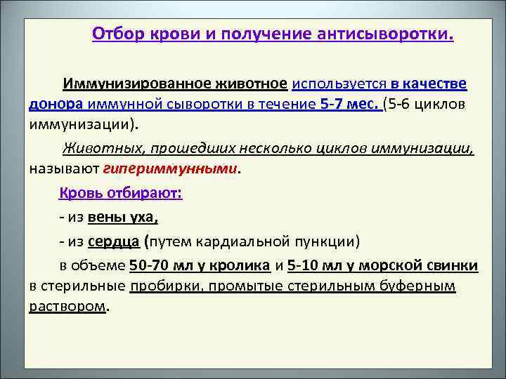 Отбор крови и получение антисыворотки. Иммунизированное животное используется в качестве донора иммунной сыворотки в