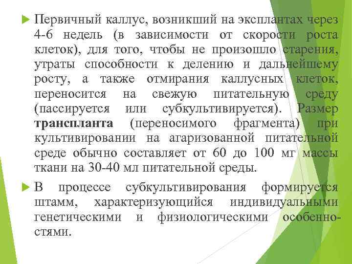 Первичный каллус, возникший на эксплантах через 4 -6 недель (в зависимости от скорости роста