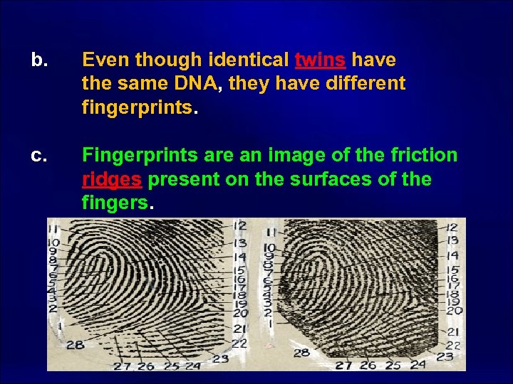  b. Even though identical twins have the same DNA, they have different fingerprints.