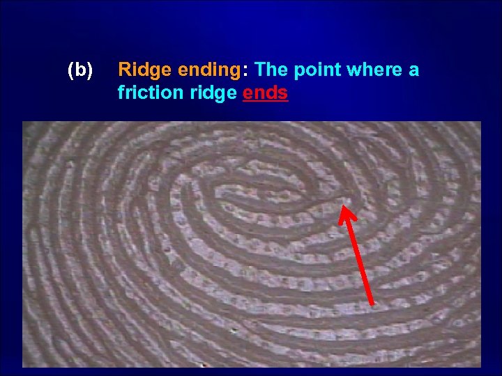 (b) Ridge ending: The point where a friction ridge ends 