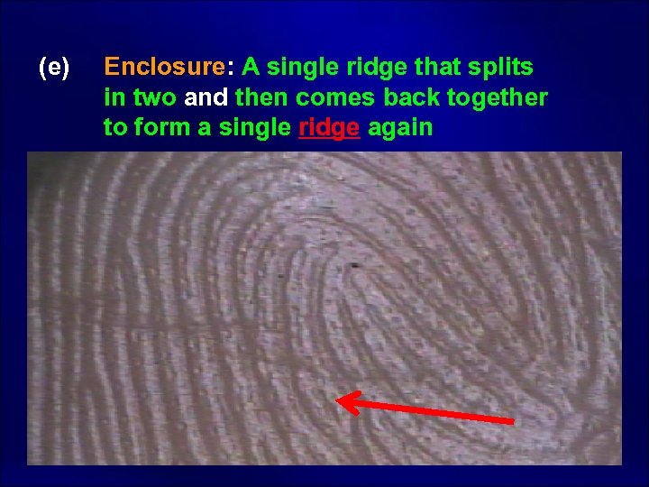  (e) Enclosure: A single ridge that splits in two and then comes back