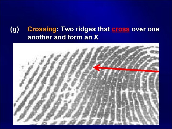  (g) Crossing: Two ridges that cross over one another and form an X