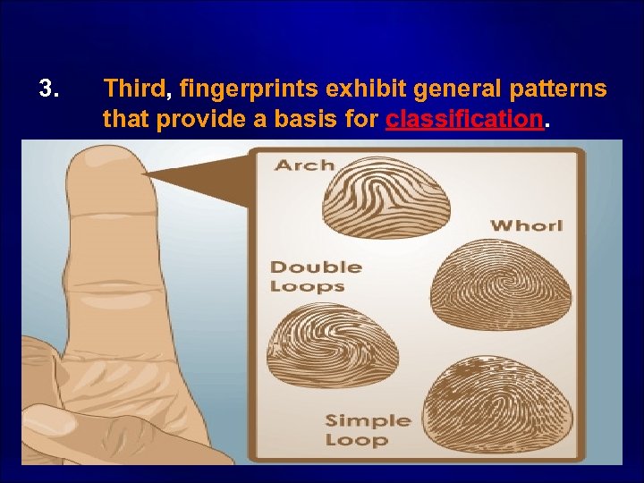  3. Third, fingerprints exhibit general patterns that provide a basis for classification. 