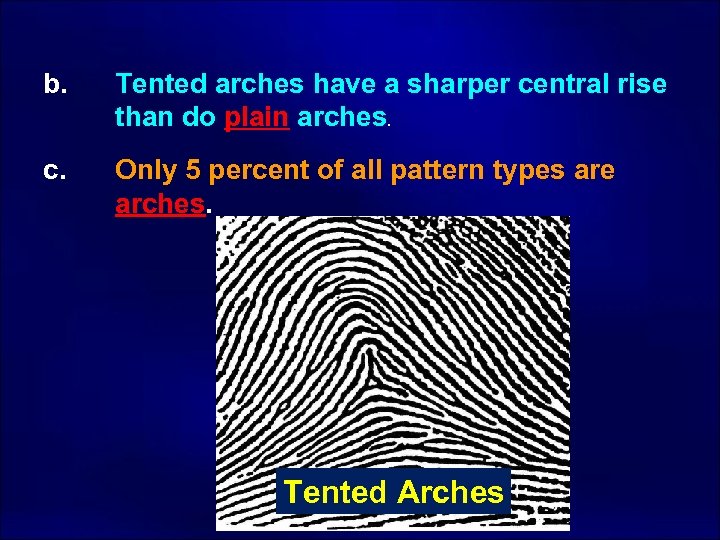 b. Tented arches have a sharper central rise than do plain arches. c. Only