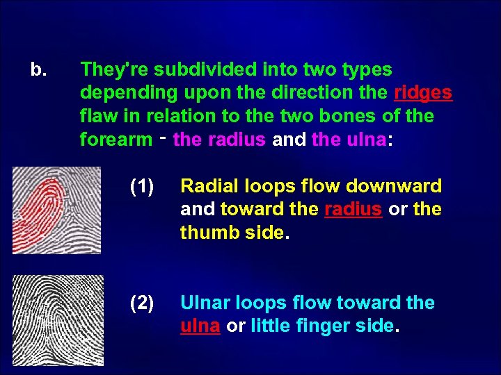 b. They're subdivided into two types depending upon the direction the ridges flaw in