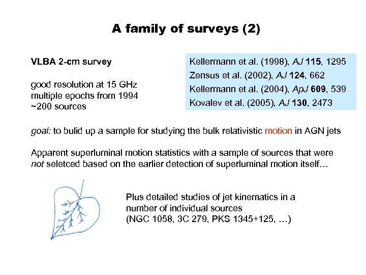 A family of surveys (2) VLBA 2 -cm survey Kellermann et al. (1998), AJ