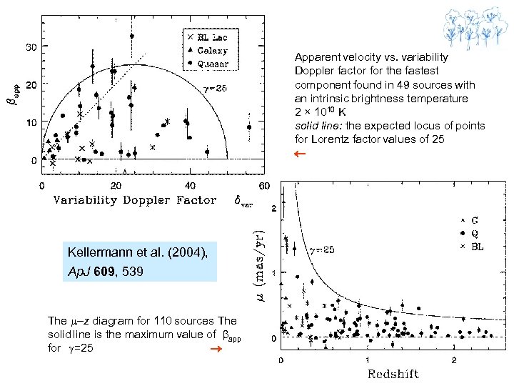Apparent velocity vs. variability Doppler factor for the fastest component found in 49 sources