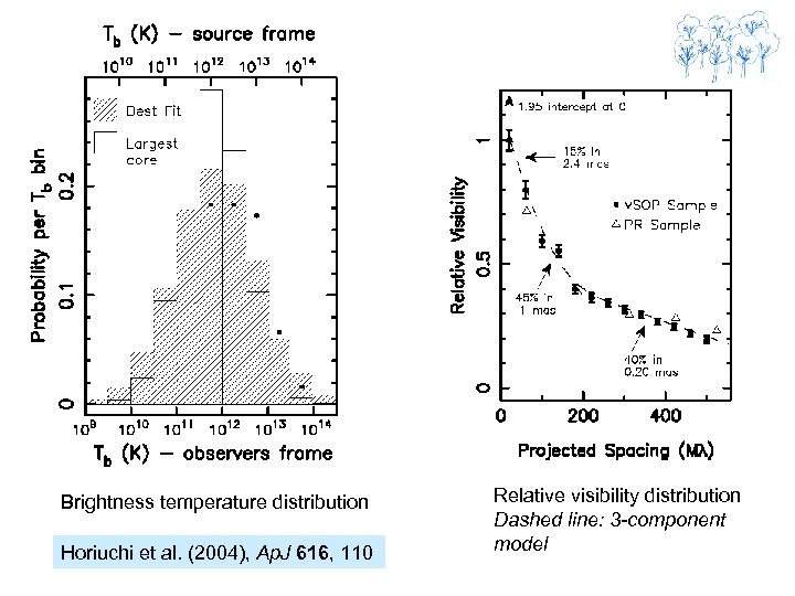 Brightness temperature distribution Horiuchi et al. (2004), Ap. J 616, 110 Relative visibility distribution