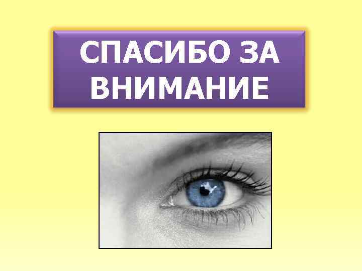 СПАСИБО ЗА ВНИМАНИЕ 