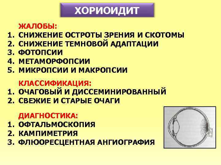 ХОРИОИДИТ 1. 2. 3. 4. 5. ЖАЛОБЫ: СНИЖЕНИЕ ОСТРОТЫ ЗРЕНИЯ И СКОТОМЫ СНИЖЕНИЕ ТЕМНОВОЙ
