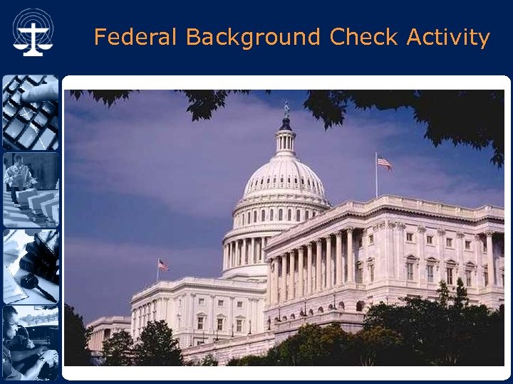 Federal Background Check Activity 