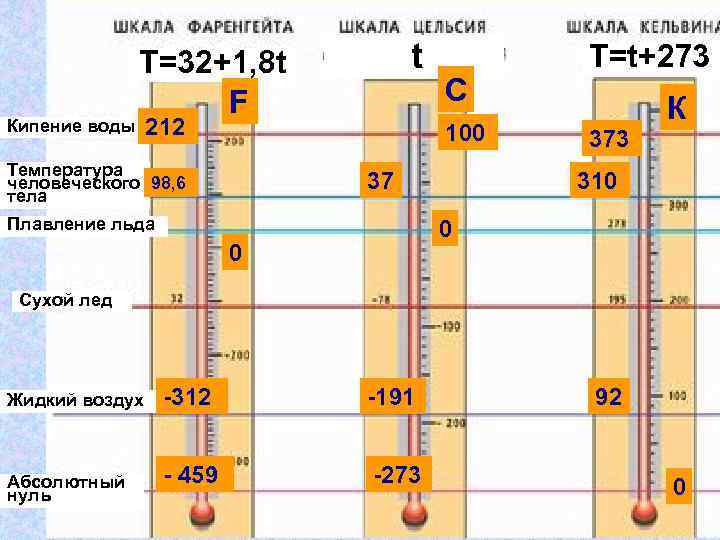 T scale