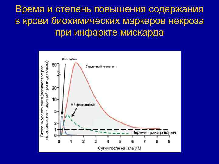 Время и степень повышения содержания в крови биохимических маркеров некроза при инфаркте миокарда 