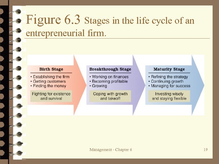 Figure 6. 3 Stages in the life cycle of an entrepreneurial firm. Management -