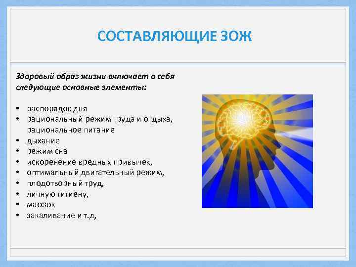 СОСТАВЛЯЮЩИЕ ЗОЖ Здоровый образ жизни включает в себя следующие основные элементы: • распорядок дня