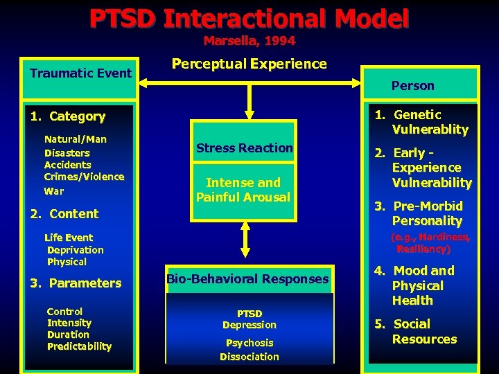 PTSD Interactional Model Marsella, 1994 Traumatic Event Perceptual Experience Person 1. Genetic Vulnerablity 1.