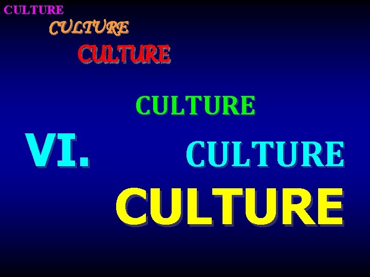 CULTURE VI. CULTURE 