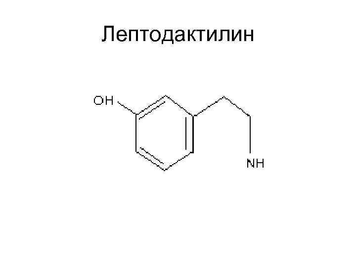 Лептодактилин 