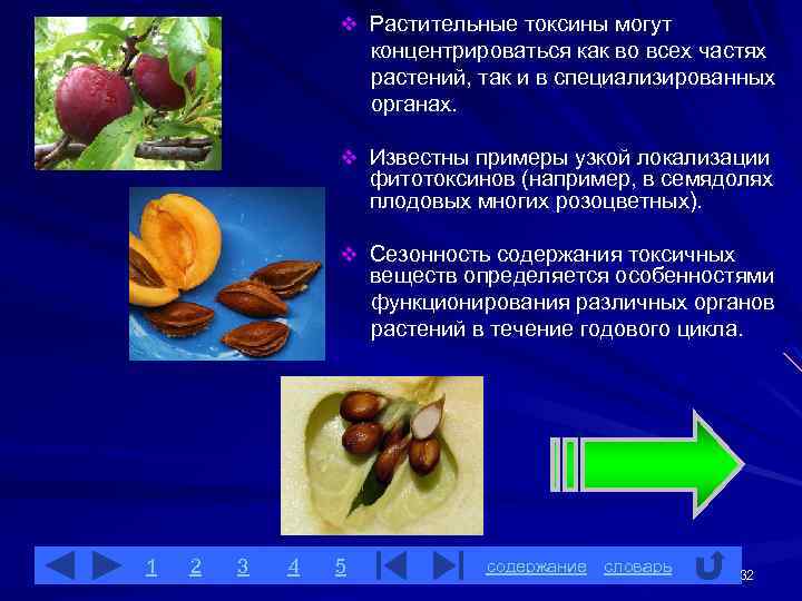 Примеры растительного происхождения. Токсины растительного происхождения. Токсины растений примеры. Токсины растений классификация. Токсины природного происхождения.