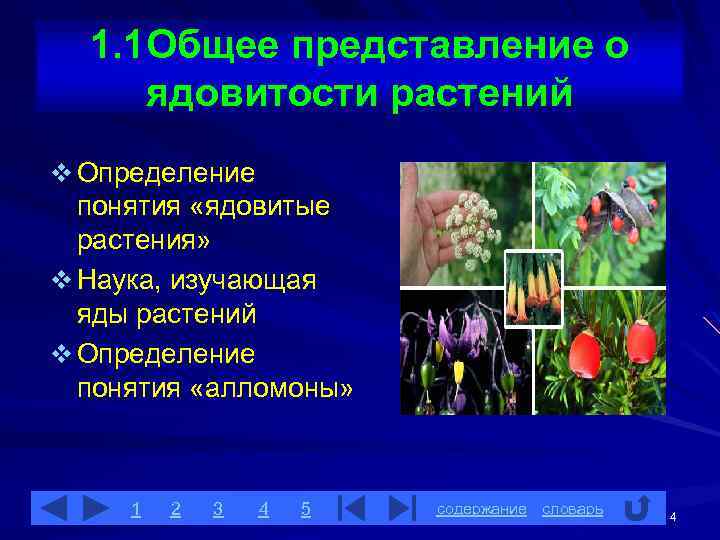 Общее представление о растениях. Общие понятия о ядовитых животных и растениях. Растения это определение.