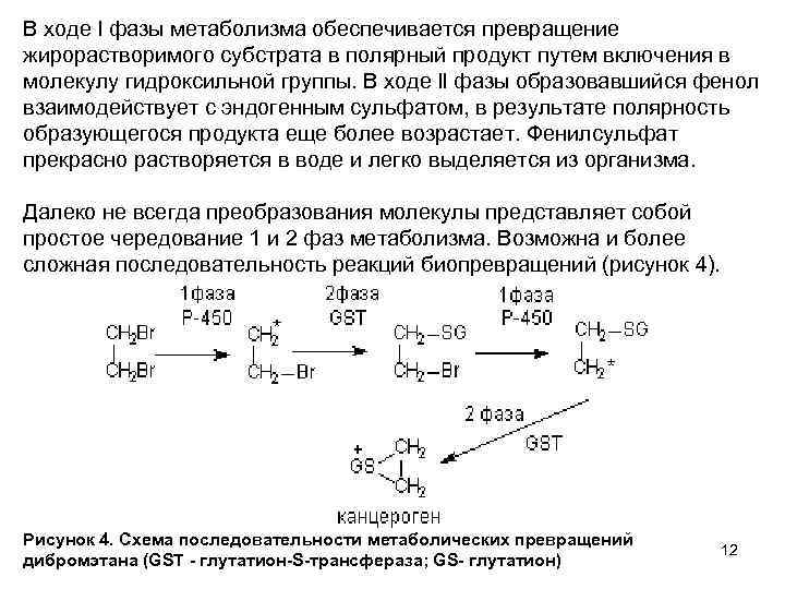 В ходе l фазы метаболизма обеспечивается превращение жирорастворимого субстрата в полярный продукт путем включения