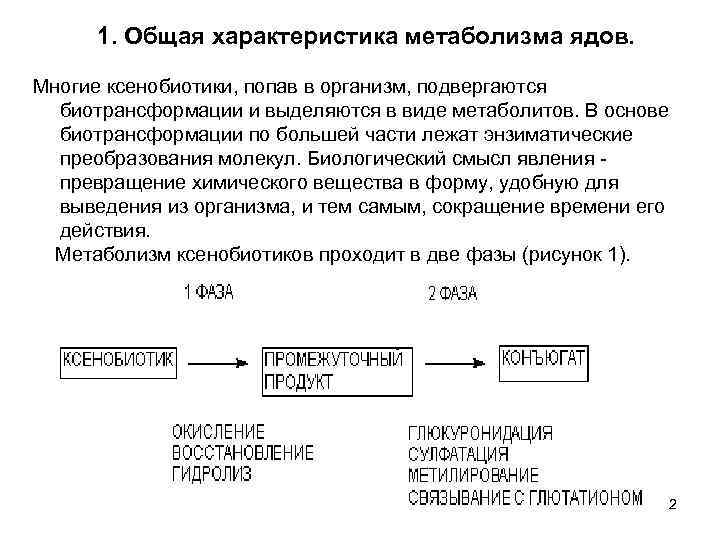 1. Общая характеристика метаболизма ядов. Многие ксенобиотики, попав в организм, подвергаются биотрансформации и выделяются