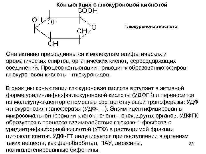 Конъюгация с глюкуроновой кислотой Глюкуроновая кислота Она активно присоединяется к молекулам алифатических и ароматических