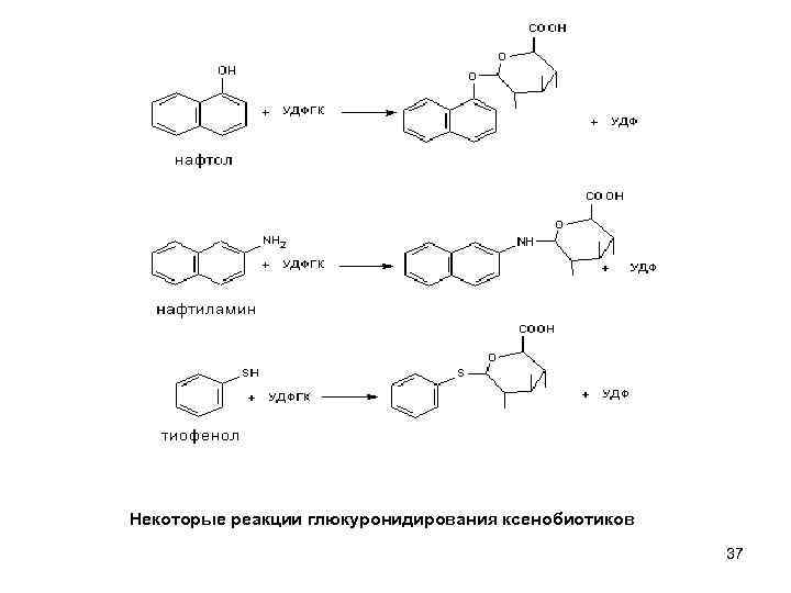 Некоторые реакции глюкуронидирования ксенобиотиков 37 