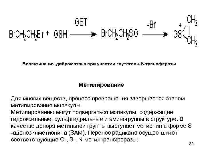 Биоактивация дибромэтана при участии глутатион-S-трансферазы Метилирование Для многих веществ, процесс превращения завершается этапом метилирования