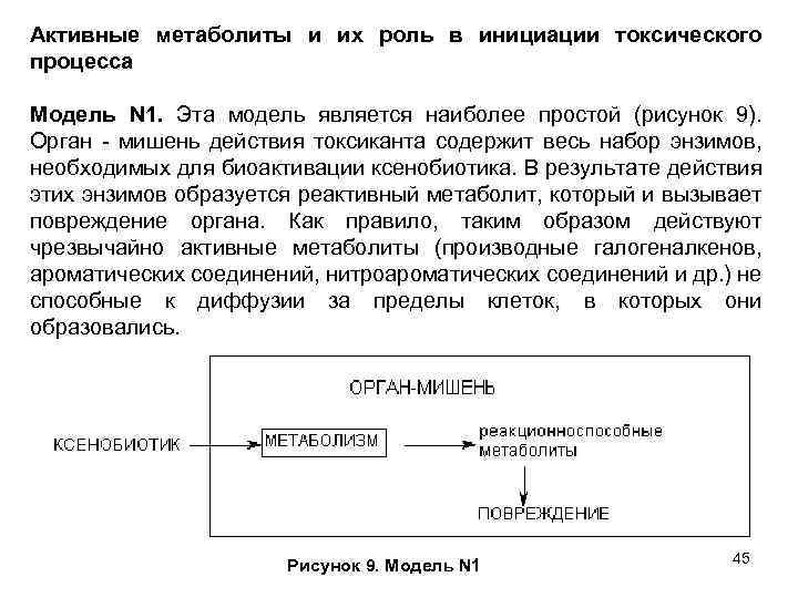 Активные метаболиты и их роль в инициации токсического процесса Модель N 1. Эта модель