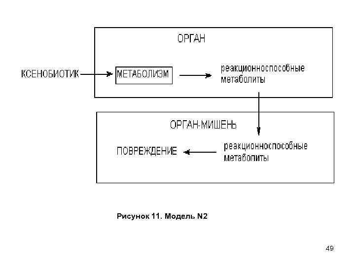 Рисунок 11. Модель N 2 49 